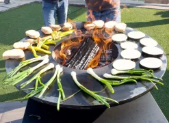 Barbecue a Legna da Giardino con Piano Lavoro e Piastra per Cottura - Giorgione