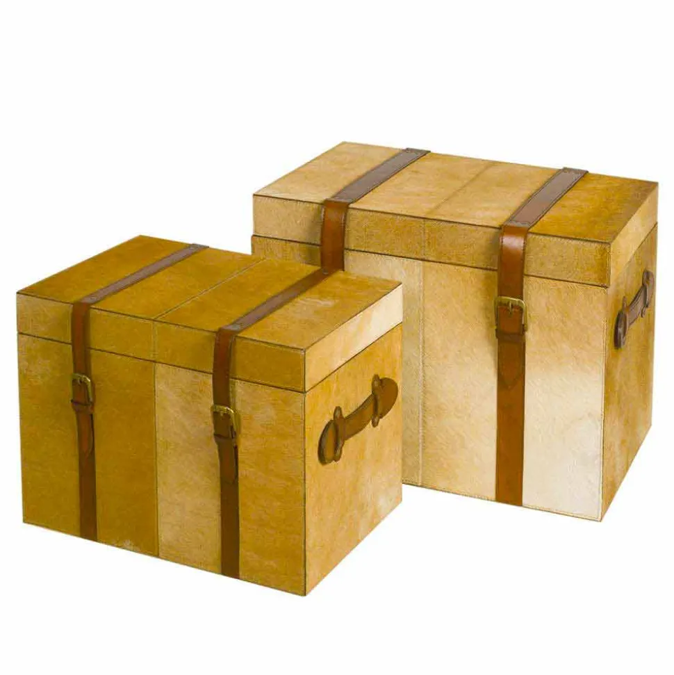 2 bauli design moderno in cavallino marrone chiaro Deii