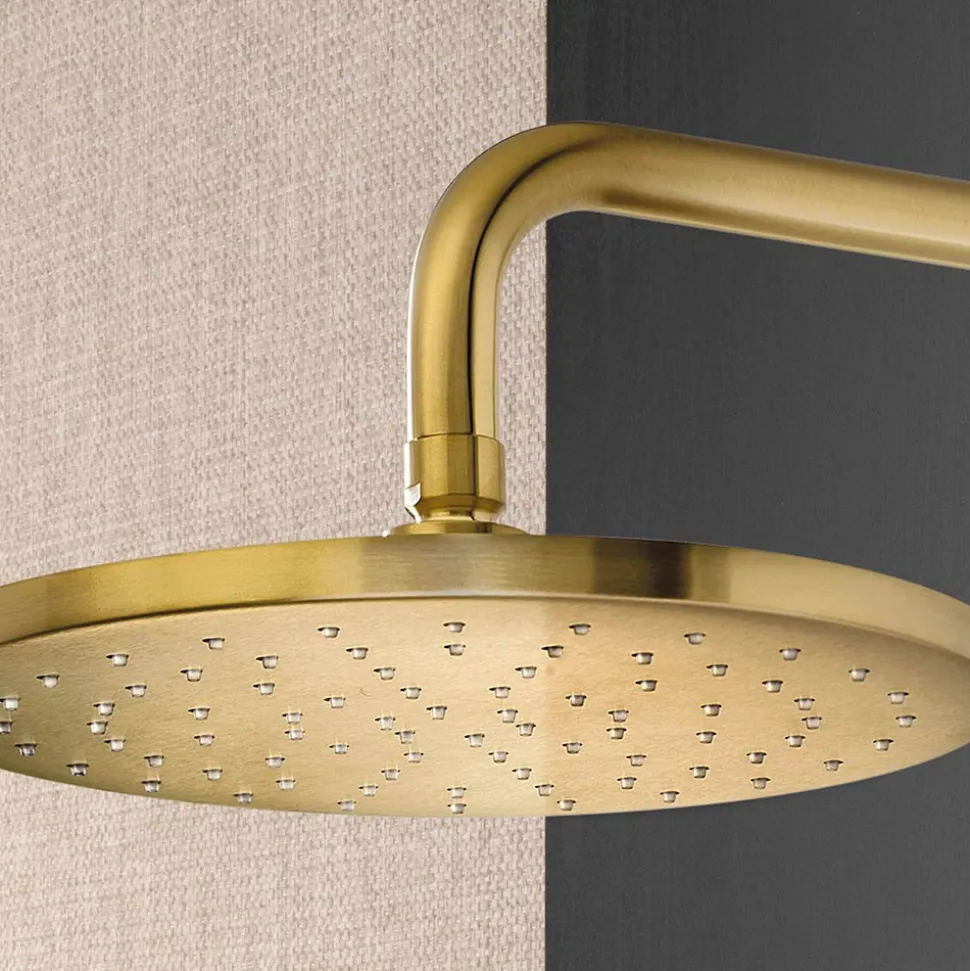 Braccio Doccia con Soffione Tondo Anticalcare in Acciaio AISI 316L - Artigli