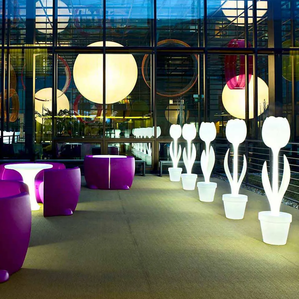 Decorazione d'Arredo Luminosa per Interni di Design, 2 Pezzi - Tulip by Myyour