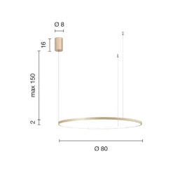 Lampada a Sospensione con Luce LED Rotonda Orizzontale in Metallo - Gelso