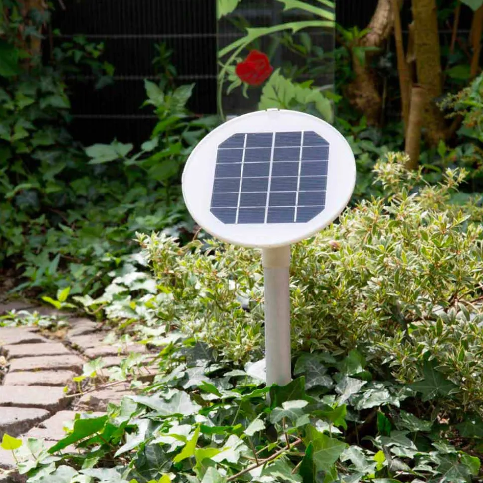 Lampada da Esterno o Interno Forma a Roccia, Design Moderno Colorato - Sassostar