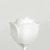 Lampada da Terra Design a Fiore in Plastica per Interni - Baby Love by Myyour