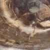 Lavabo di design da appoggio in legno fossile Star Big, fatto a mano