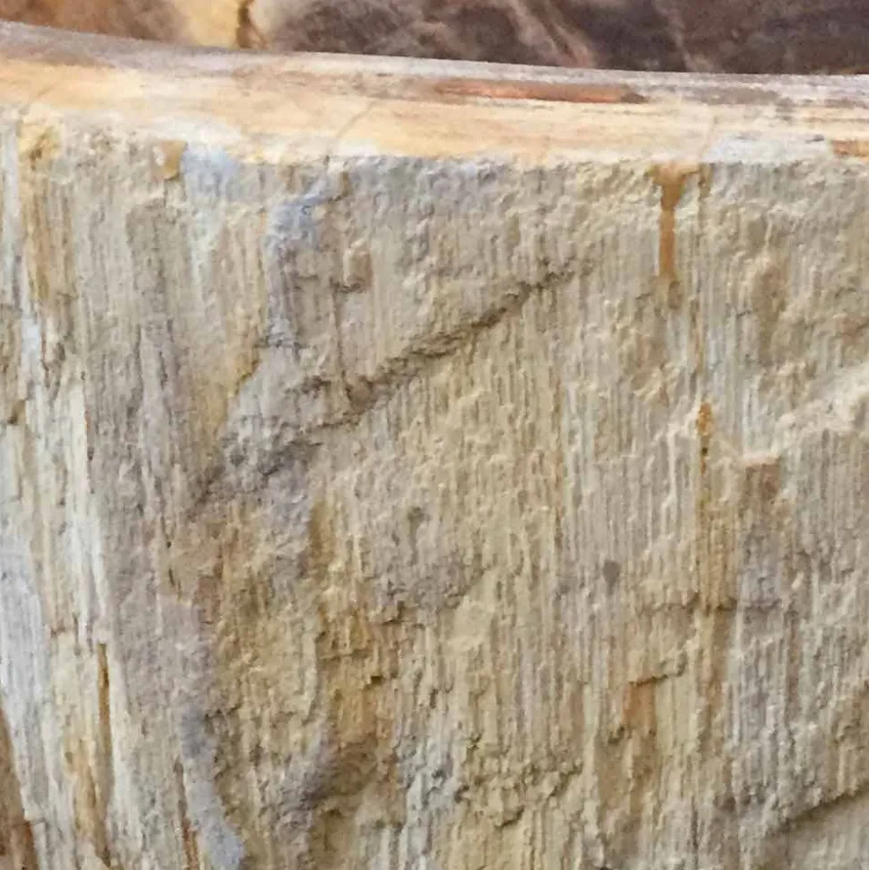 Lavabo di design da appoggio in legno fossile Star Big, fatto a mano
