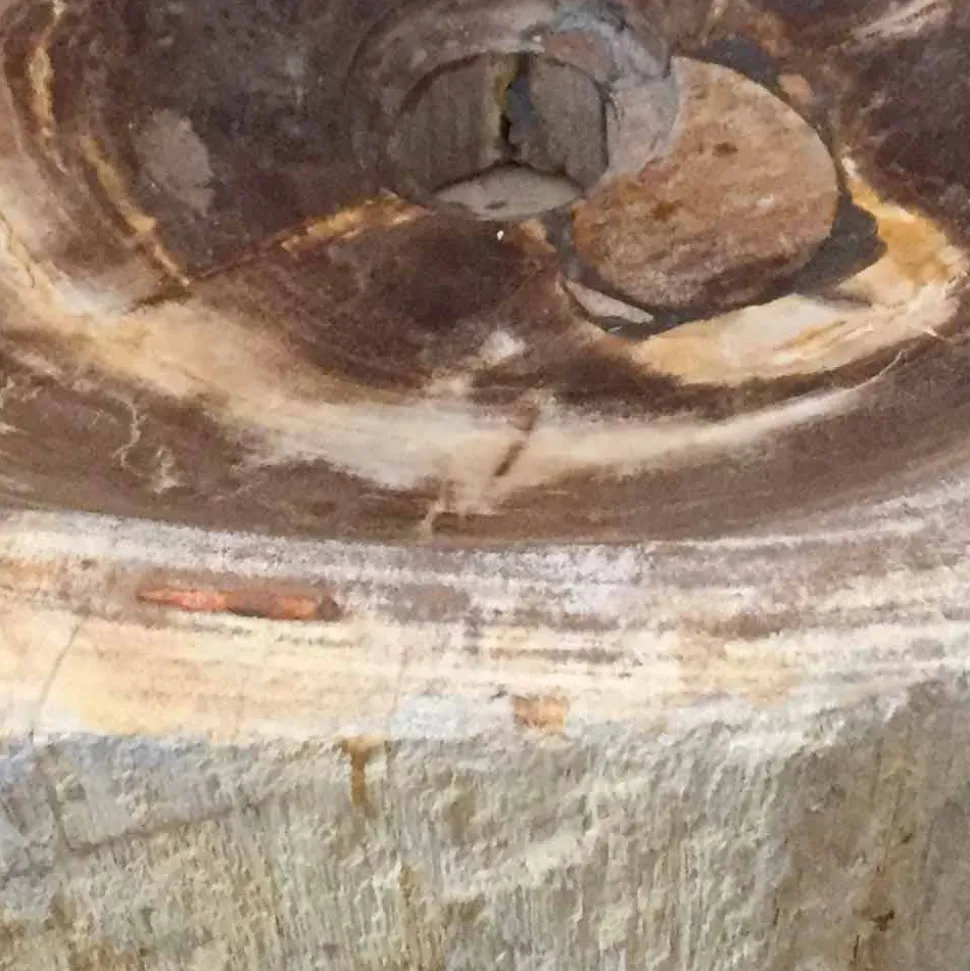 Lavabo di design da appoggio in legno fossile Star Big, fatto a mano
