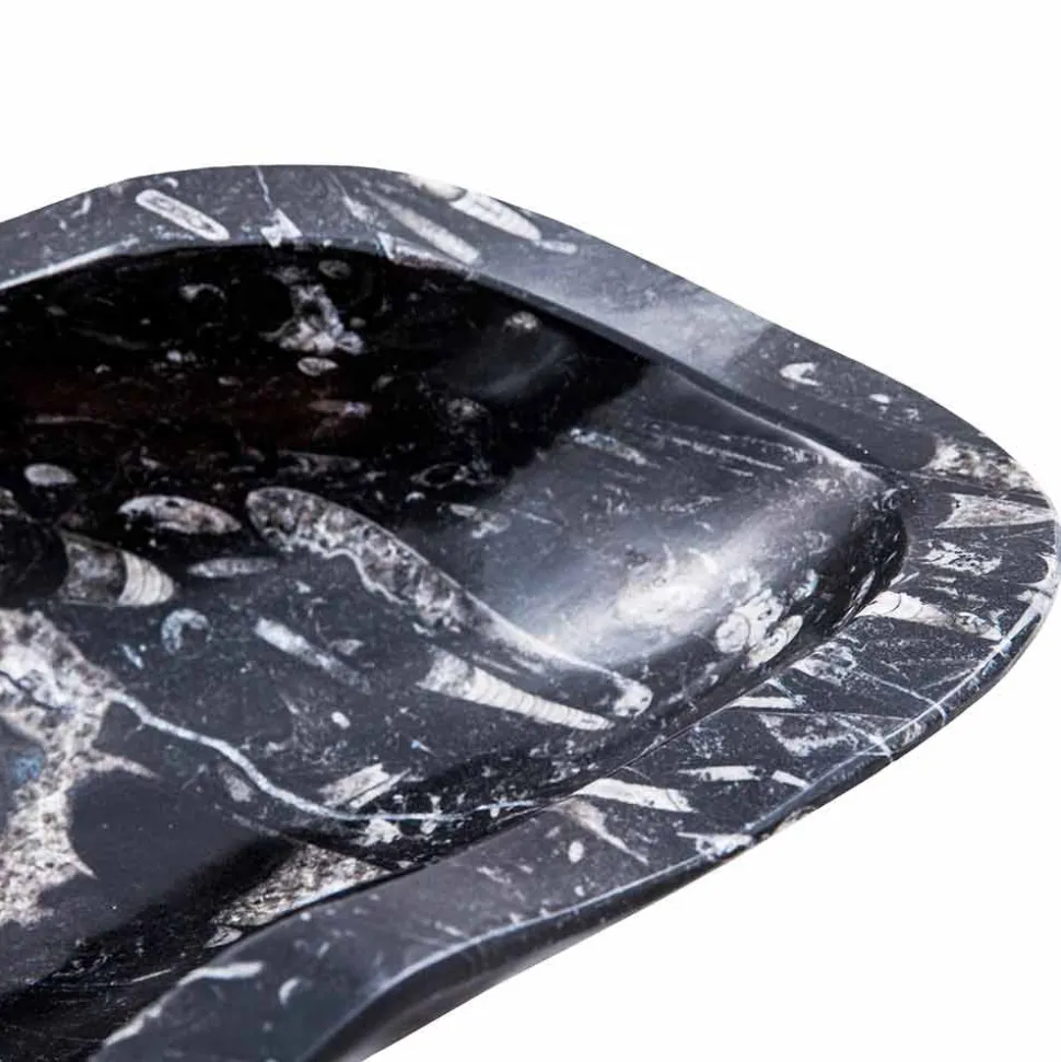 Lavabo in Marmo con Fossili da Appoggio Moderno – Burgeo