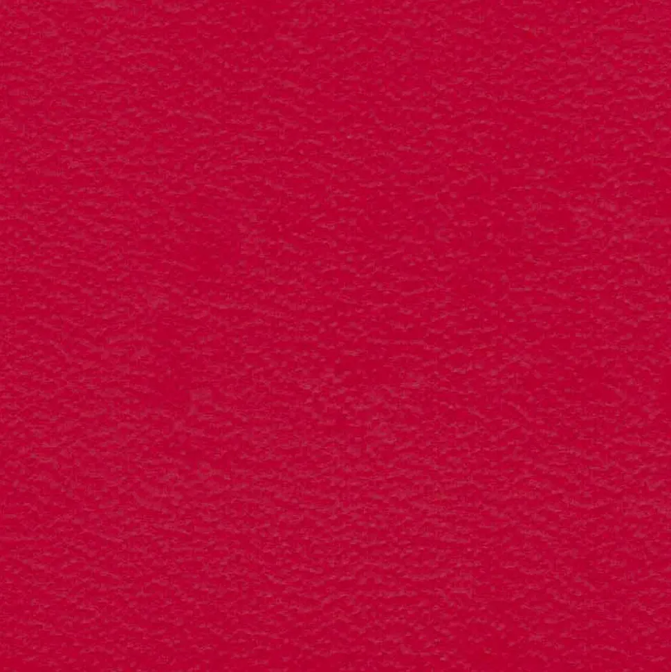Lory portariviste da terra di design un cuoio, made in Italy