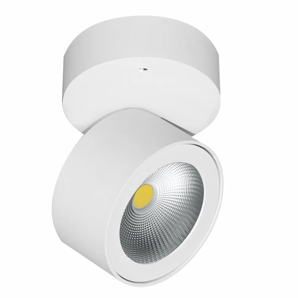 Plafoniera o Applique Faretto Led 14W in Alluminio Bianco o Nero - China