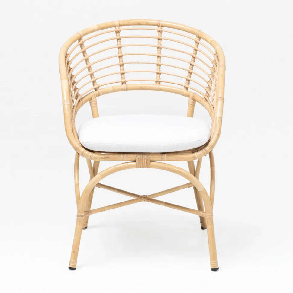 Poltrona da Giardino in Alluminio e Intreccio in Polyrattan e Cuscino - Ellide