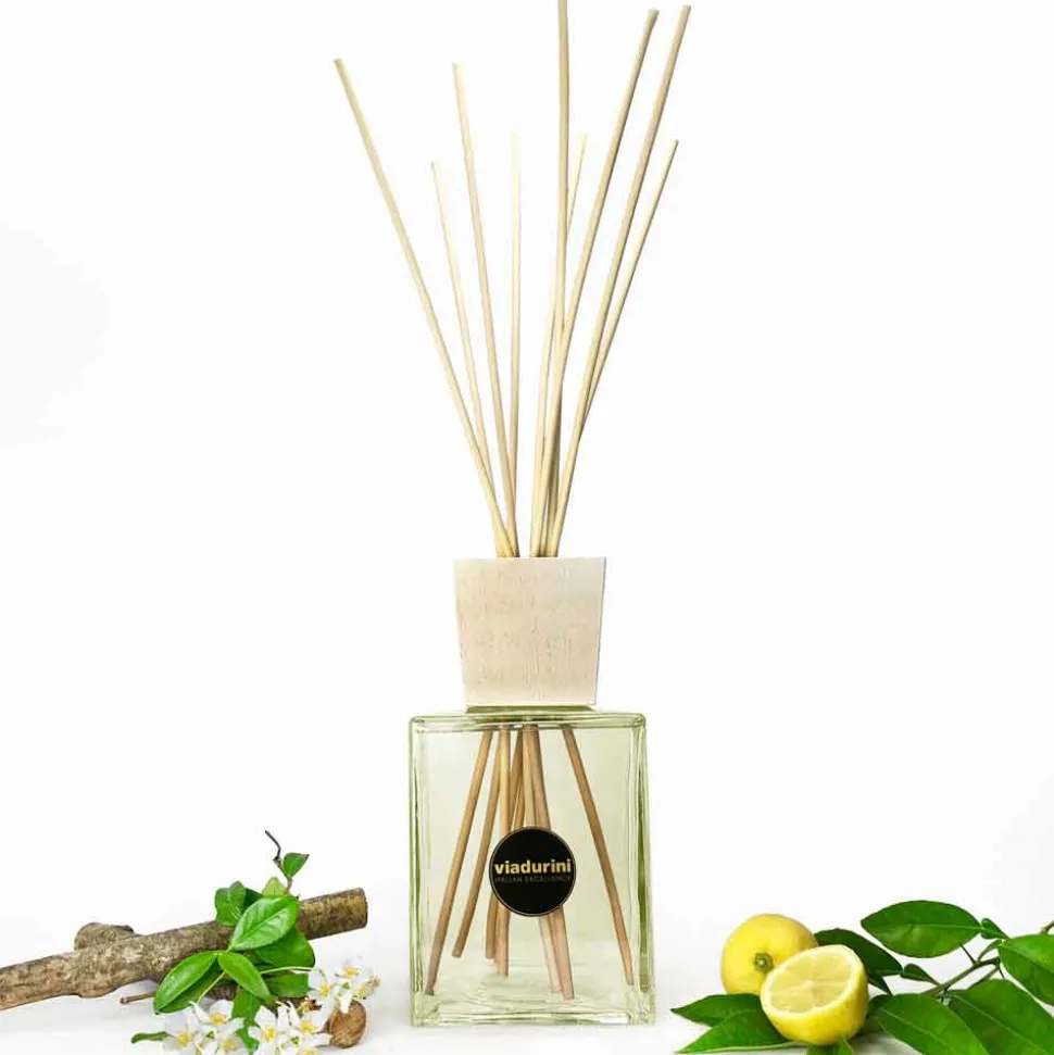 Profumatore Ambiente Fragranza Cuoio 2,5 Lt con Bastoncini - Lavecchiavenezia