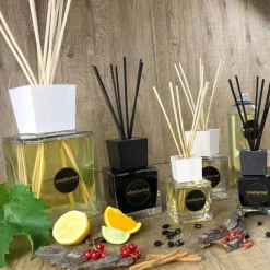 Profumatore Ambiente Vaniglia e Mou 2.5 Lt con Bastoncini - Sabbiadelsalento