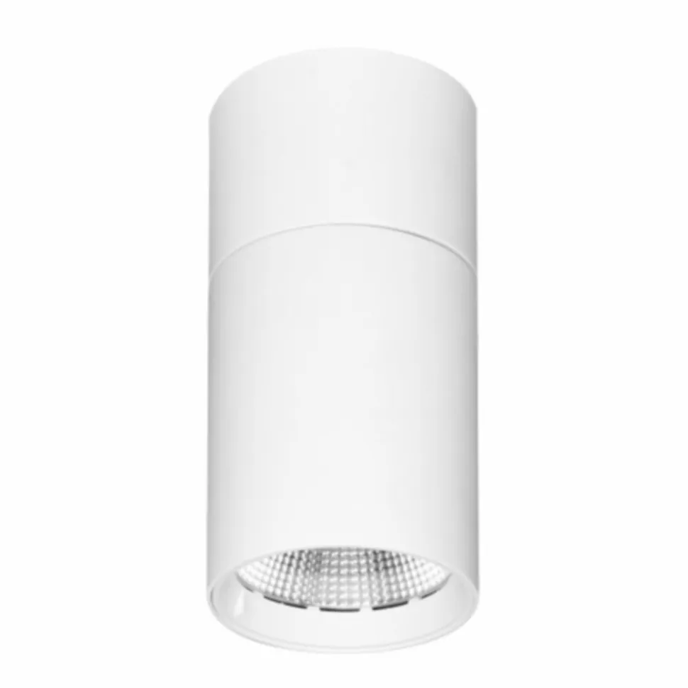 Proiettore Plafoniera Led Orientabile in Alluminio Bianco o Nero - Point