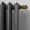 Radiatore di Design 5 Elementi Lisci in Ghisa da Terra fino 914 W - Barocco