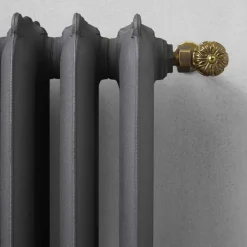 Radiatore di Design 5 Elementi Lisci in Ghisa da Terra fino 914 W - Barocco