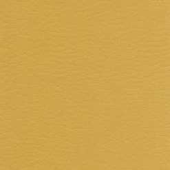 Sedia di Design Moderno Elegante in Ecopelle Colorato da Salotto - Grenger