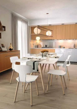 Sedia Sala da Pranzo in Legno e Polipropilene Made in Italy, 2 Pezzi - Clover