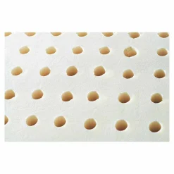 Set 2 cuscini anallergici e traspiranti 100% lattice Bio Cervical
