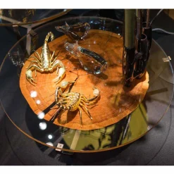 Tavolino da caffè basso di design con piano in vetro e legno Bigo