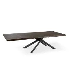 Tavolo Allungabile a 300 cm in Rovere Impiallacciato e Base in Metallo Nero - Xino