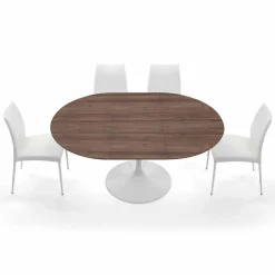 Tavolo da Pranzo Allungabile Fino a 170 cm in Laminato Made in Italy - Dollars