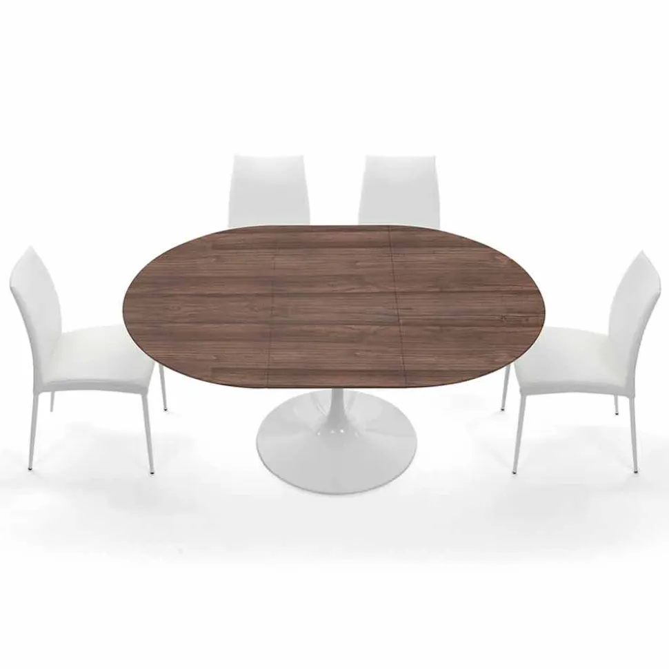 Tavolo da Pranzo Allungabile Fino a 170 cm in Laminato Made in Italy - Dollars