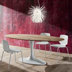 Tavolo da Pranzo con Piano Ovale in Multistrato Made in Italy - Brontolo