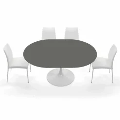Tavolo da Pranzo Rotondo Allungabile Fino a 170 cm Made in Italy - Dollars