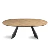 Tavolo Fisso 210x109 cm in Metallo e Rovere Impiallacciato Ovale - Marcello