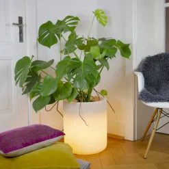 Vaso con Illuminazione da Giardino o Interno, Design Moderno - Cilindrostar