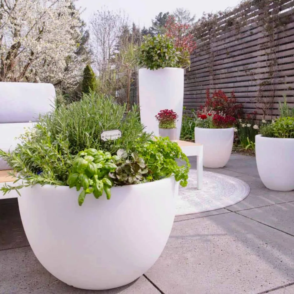 Vaso con Illuminazione Led o Solare Design Moderno di Varie Misure - Svasostar