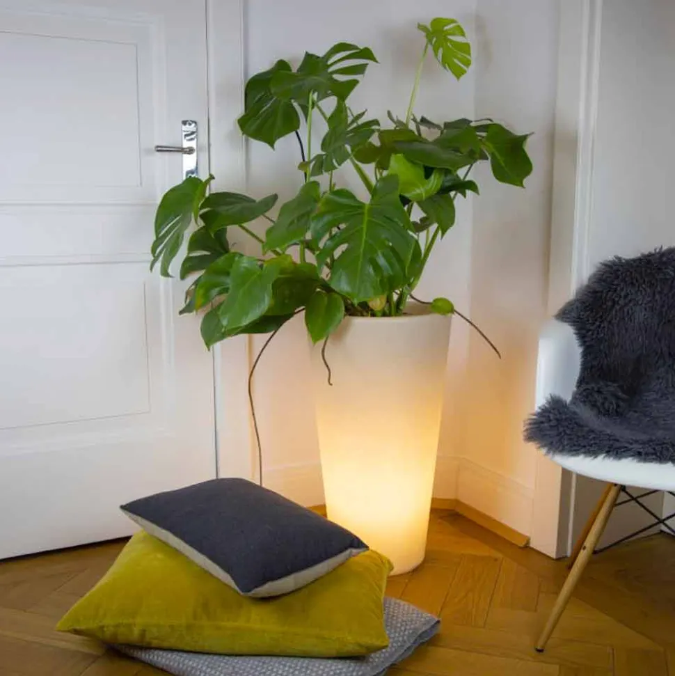 Vaso Illuminato a LED Multicolore o Solare da Giardino o Soggiorno - Vasostar