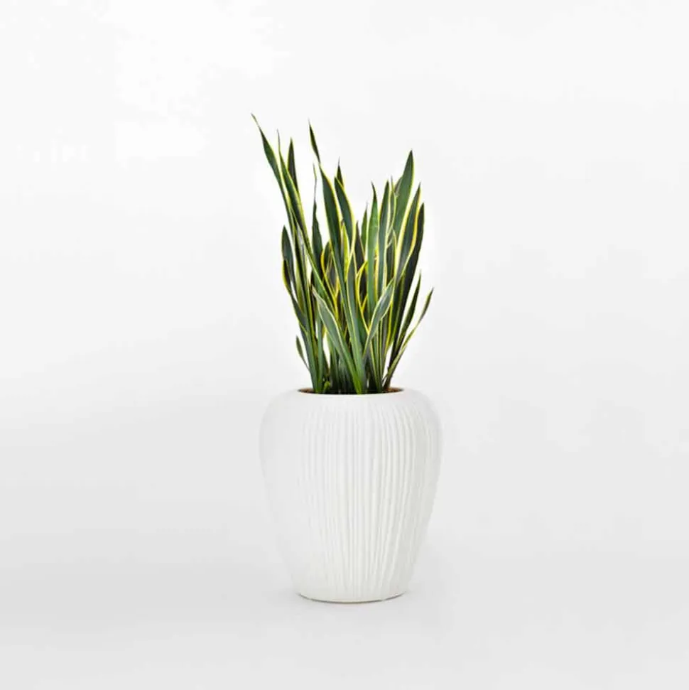 Vaso Luminoso da Esterno Design Moderno in Polietilene, 2 Pezzi - Skin by Myyour
