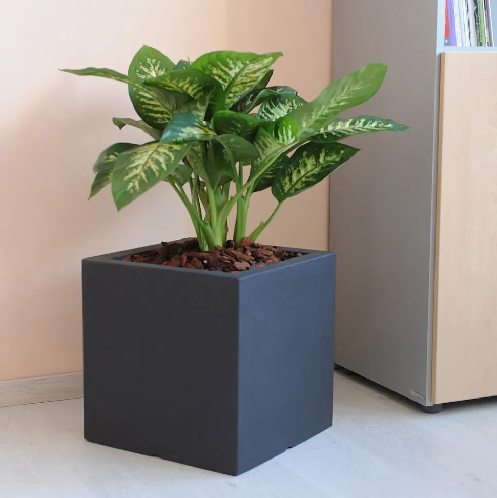 Vaso o Divisorio Colorato per Esterni 3 Dimensioni Made in Italy - Plants