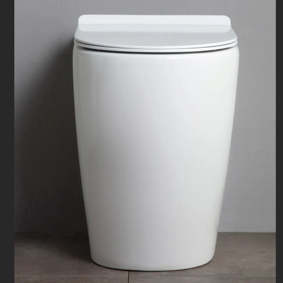 Vaso Wc con Scarico Traslato e Sedile Soft Close in Ceramica - Oleandro
