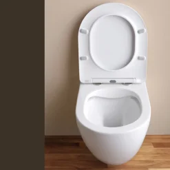 Vaso Wc Sospeso Tecnologia Rimless e Sedile Soft Close in Ceramica - Ginepro